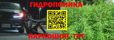 стаф Обнинск