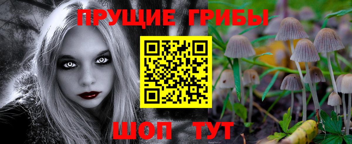 Галлюциногенные грибы GOLDEN TEACHER  Вход с VPN  Реутов 