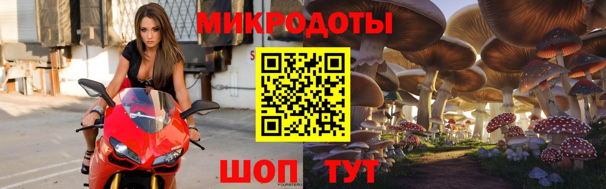 Галлюциногенные грибы Psilocybine cubensis Реутов